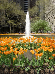 Bowling Green