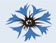 Reconsideration Steuben Flag