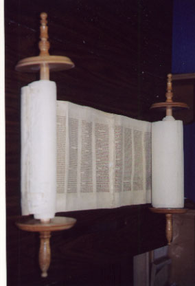 Little Torah unscrolled